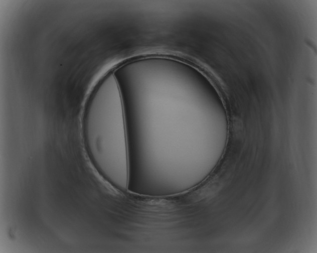 X0000092331416200709141108