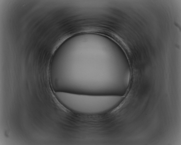 X0000092331417200709141108