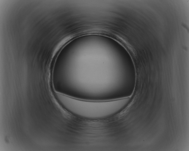 X0000092331418200709141108