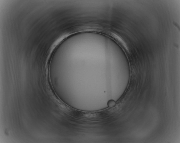 X0000092331419200709141108