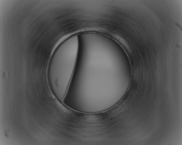 X0000092331420200709141108