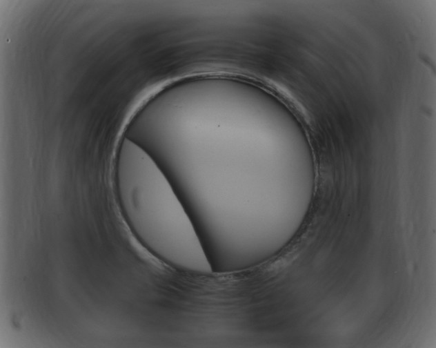X0000092331421200709141108