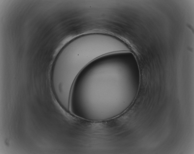 X0000092331422200709141108