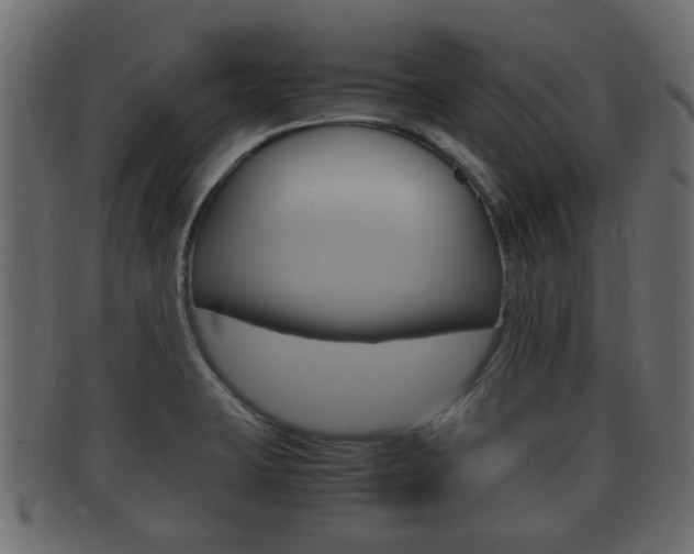 X0000092331423200709141108