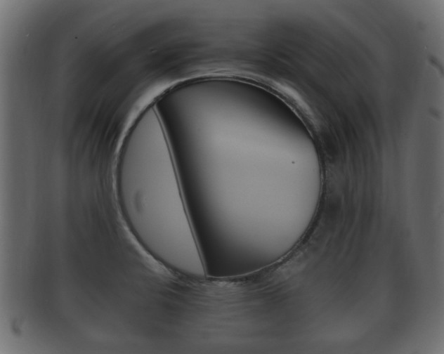 X0000092331424200709141108