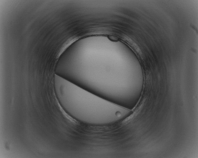 X0000092331425200709141108