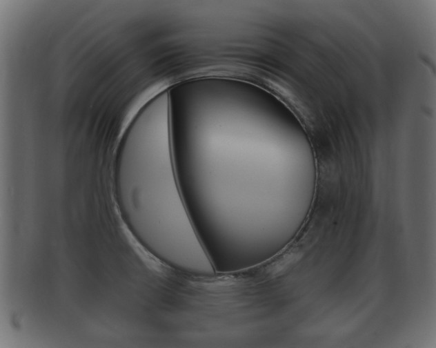 X0000092331426200709141108