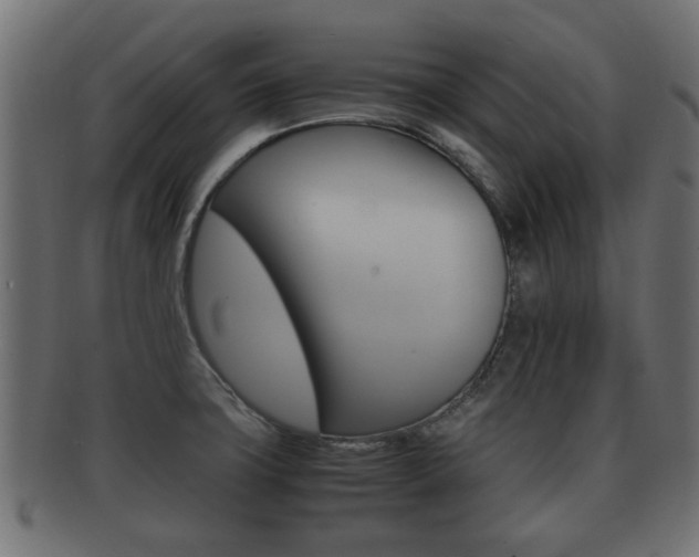 X0000092331427200709141108