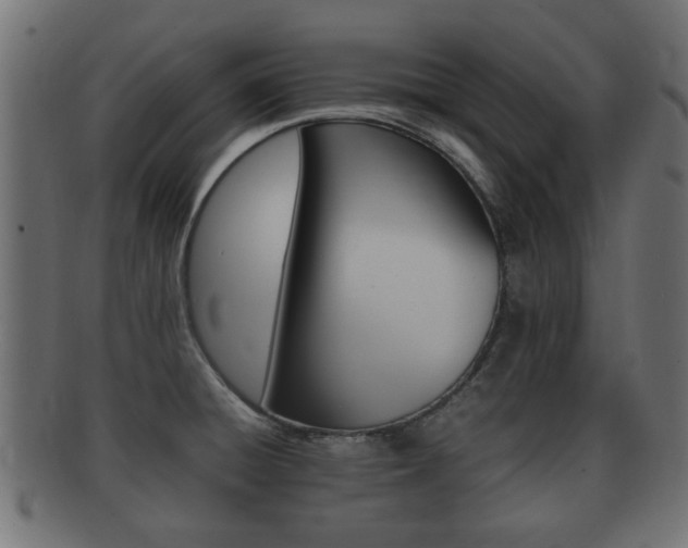 X0000092331428200709141108