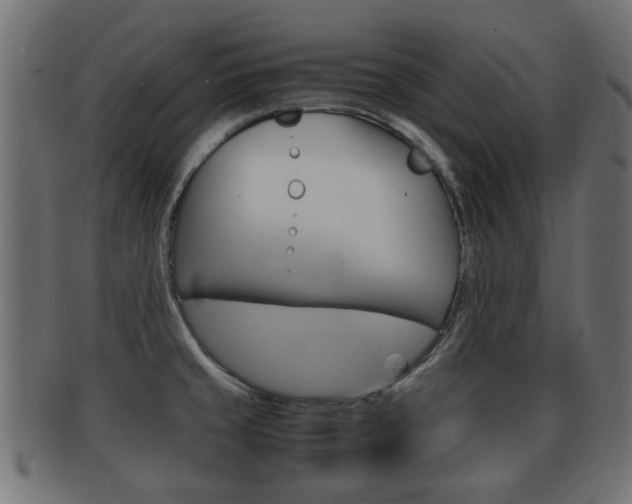 X0000092331429200709141108