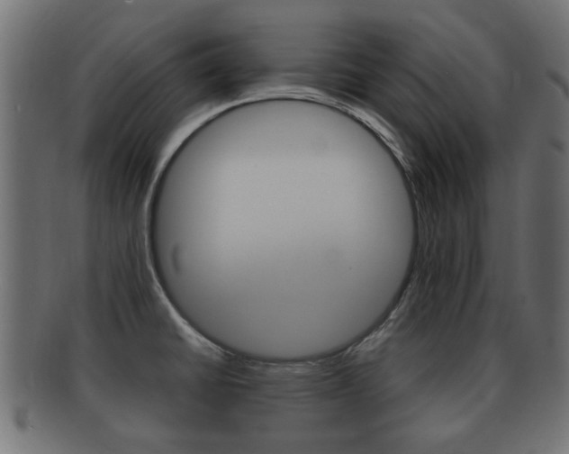 X0000092331430200709141108