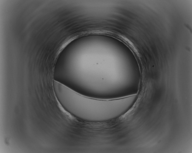 X0000092331433200709141109
