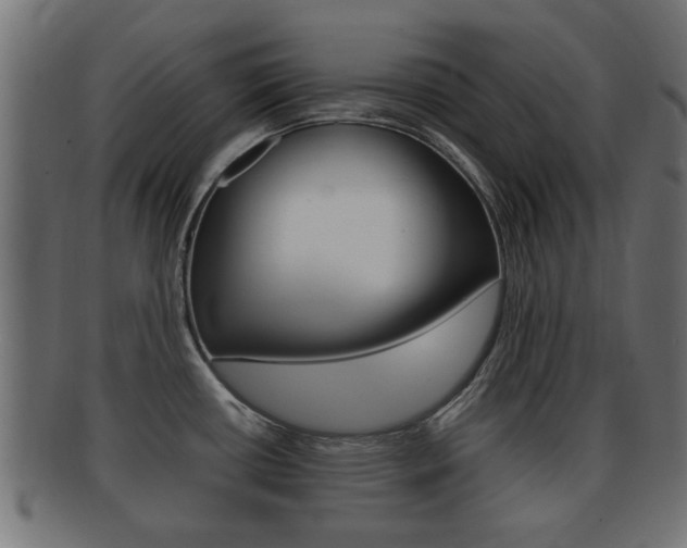 X0000092331434200709141109