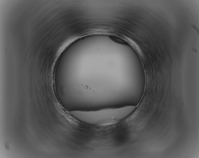 X0000092331435200709141109