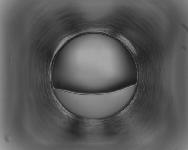 X0000092331436200709141109