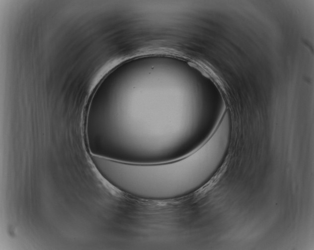 X0000092331438200709141109
