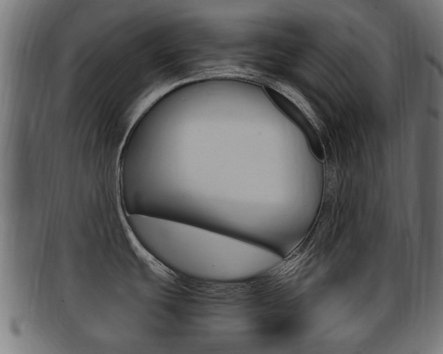 X0000092331439200709141109