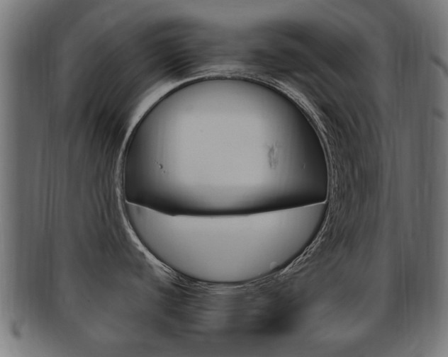 X0000092331440200709141109
