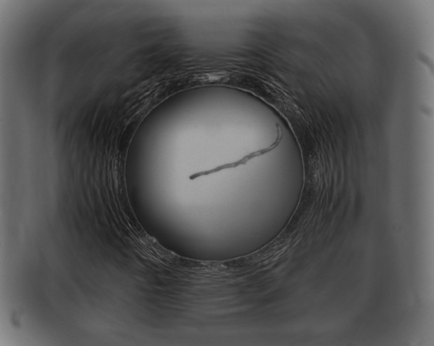 X0000092331442200709141108