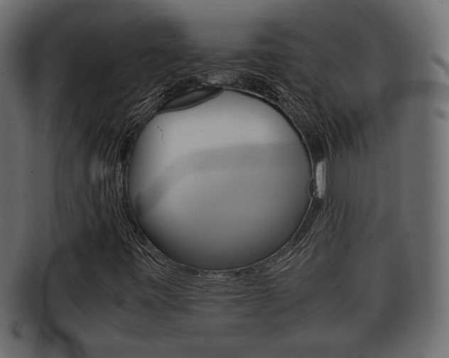 X0000092331443200709141108
