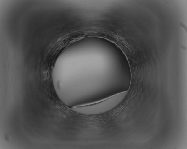 X0000092331445200709141108
