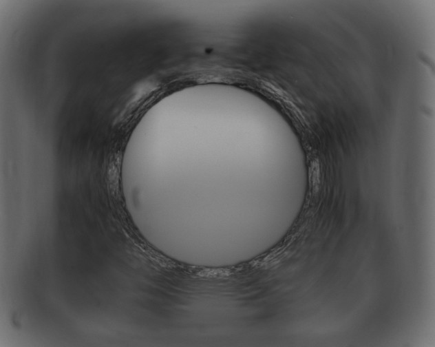 X0000092331446200709141108