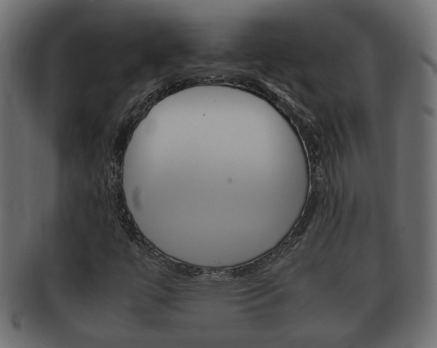 X0000092331447200709141108