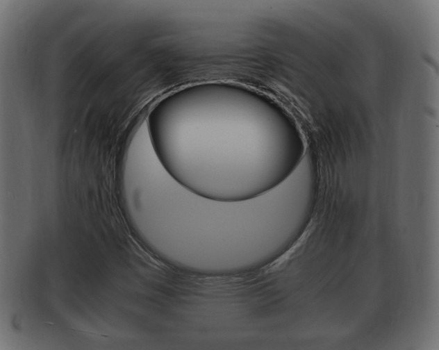 X0000092331449200709141108