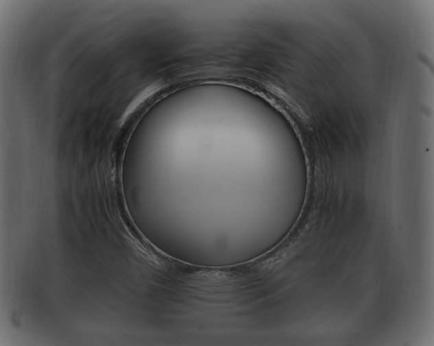 X0000092331450200709141108