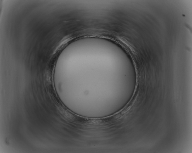 X0000092331451200709141108