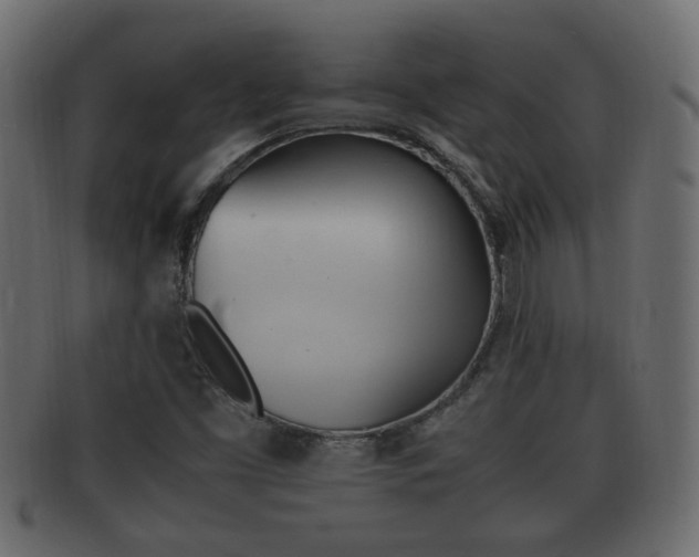 X0000092331453200709141108