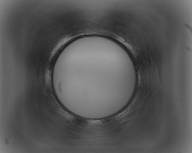 X0000092331454200709141108