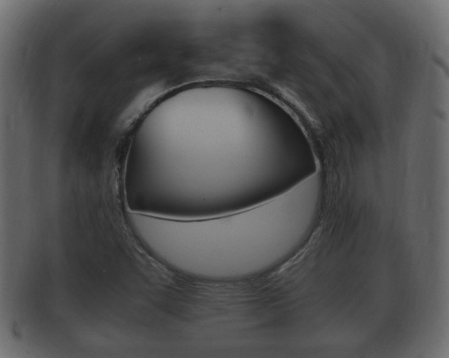X0000092331455200709141108