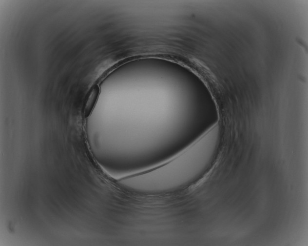 X0000092331457200709141108