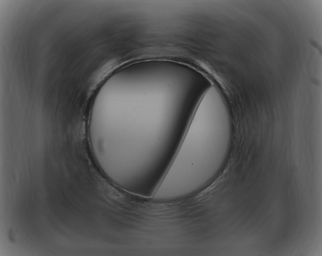 X0000092331459200709141108