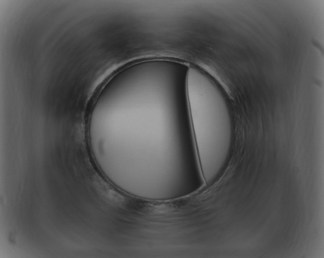 X0000092331460200709141108