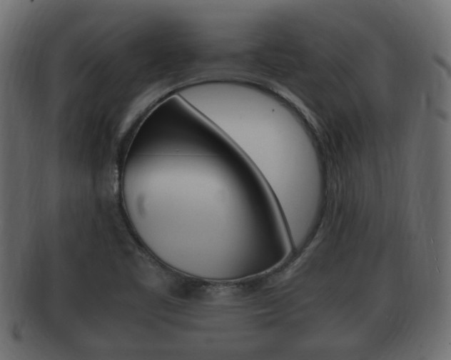 X0000092331461200709141108