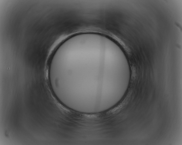 X0000092331462200709141108