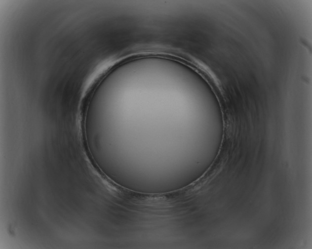X0000092331464200709141108