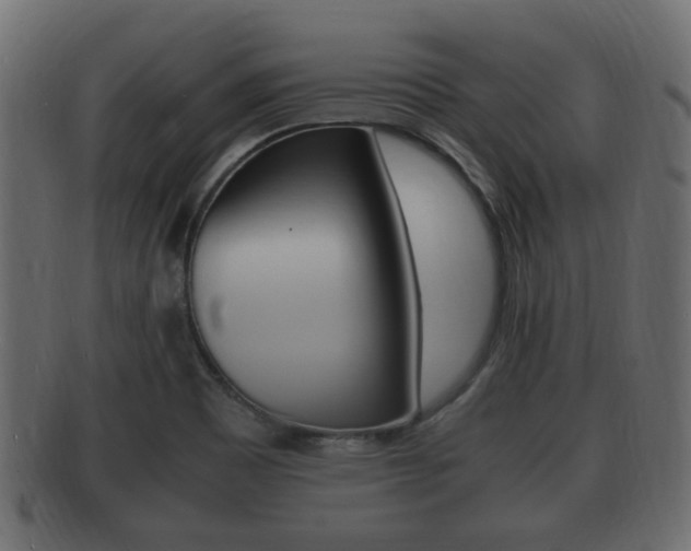 X0000092331465200709141108