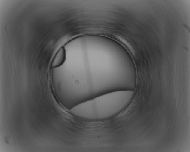 X0000092331467200709141108