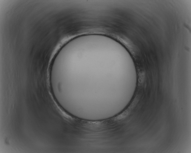 X0000092331470200709141108