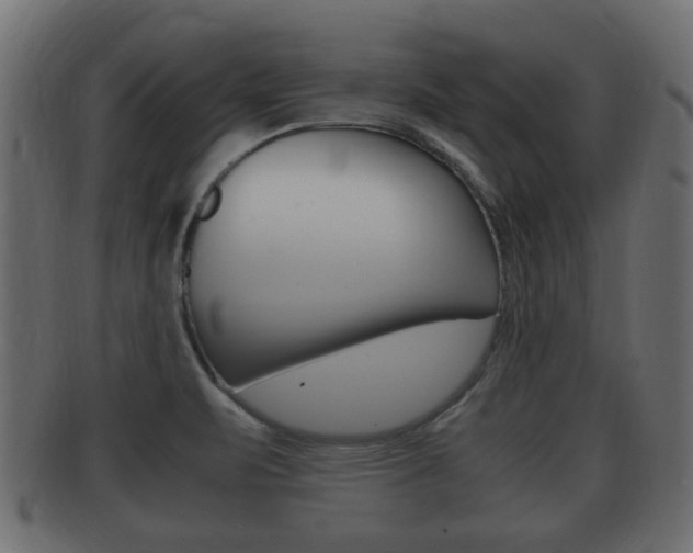 X0000092331471200709141107