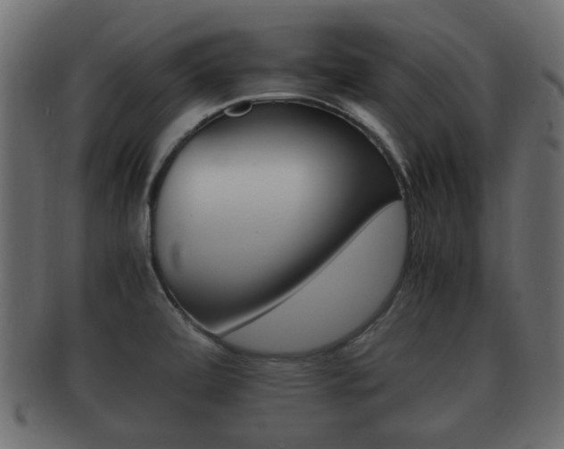X0000092331472200709141107