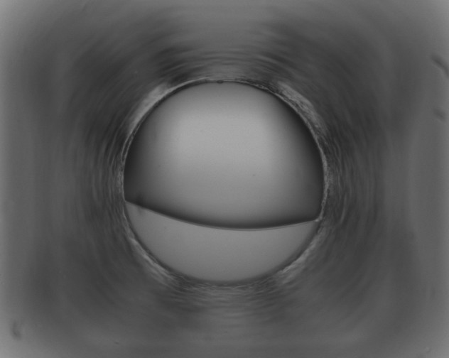 X0000092331473200709141107