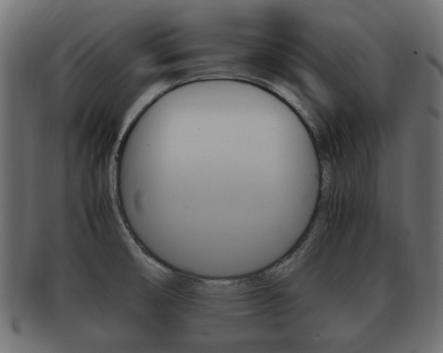 X0000092331474200709141107