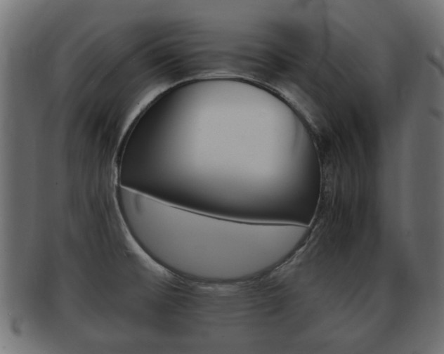 X0000092331476200709141107