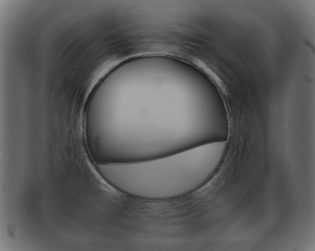 X0000092331477200709141107