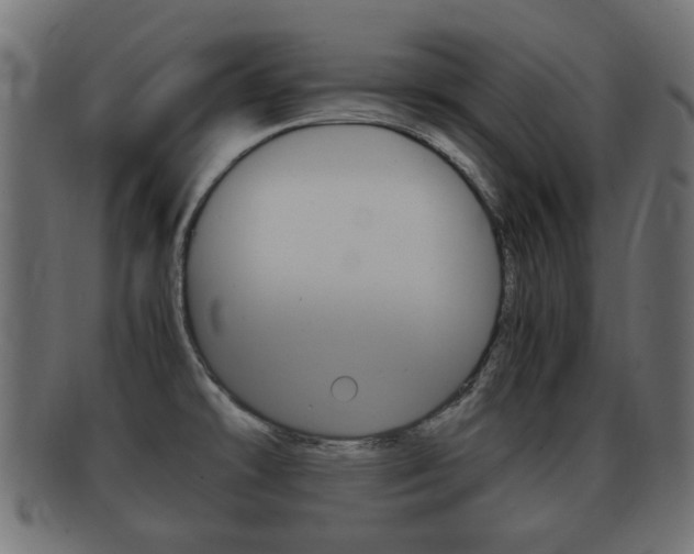 X0000092331478200709141107