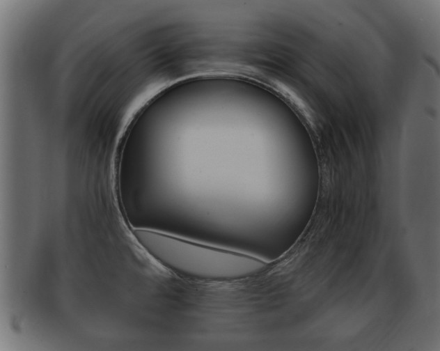 X0000092331480200709141107